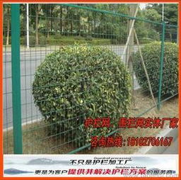 绿化带树木的价格，你了解多少？