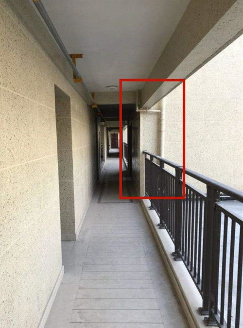 蓖麻子：小小种子，大作用