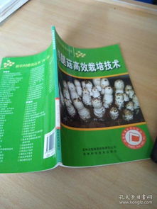 杀虫剂，那个神秘的东西