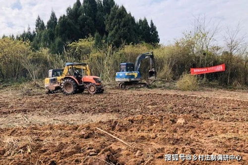 2026年耕地种植饲料而非粮食，耕地为何不优先用于粮食生产？