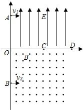 3911农药，稀释倍数大不大？
