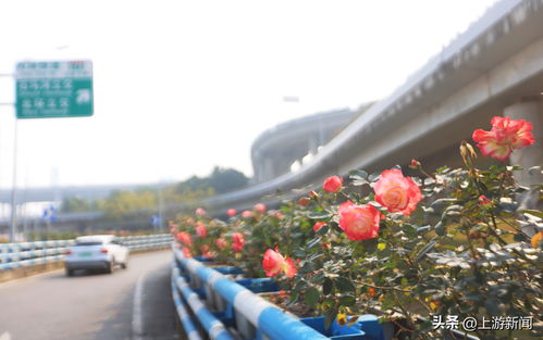 三、春天里的风景线