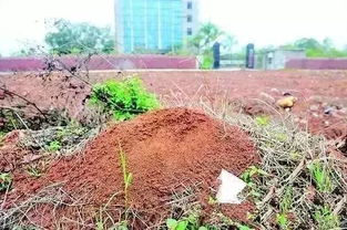 公共场所遇到中毒者， 如何施救