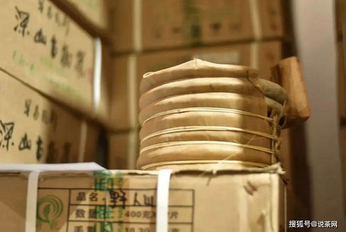 长期影响：种子的生死存亡