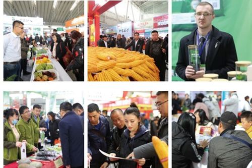 哈尔滨农药机械展销会：新型农药喷洒设备大揭秘