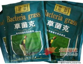 去哪儿买这神奇的高效杀菌剂呢？