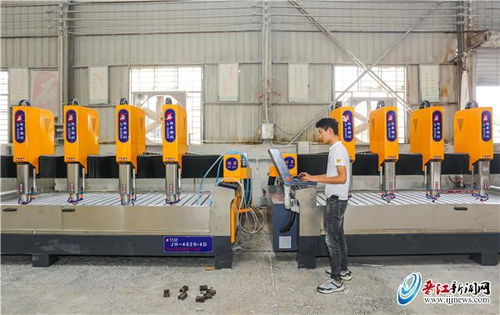 自动化喂料系统助养殖场节省人工成本