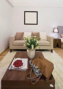 松柏：和谐共处