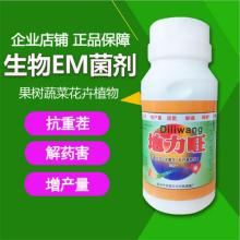 泡完的香瓜子咋样了