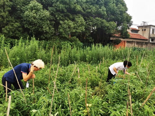 阿拉斯加花卉协会的智慧