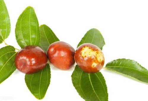 水果选材：新鲜、干净、色彩丰富是关键！