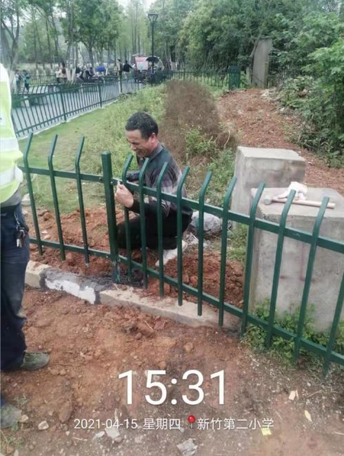 二、 浇水施肥，我们是植物的贴心管家