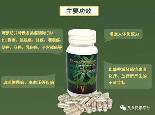 甲霜恶霉灵的神奇效果：病害的克星
