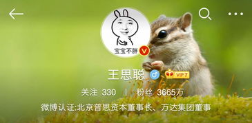 噪音时间：关于兔子们的各种传言