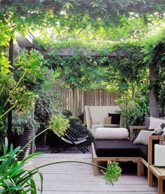 别墅花园，到底是谁的？