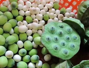 莲蓬的农药残留量揭秘：高不高，到底有多高？