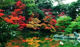 红叶橡树温室育苗出苗率低，三步控温法嫩行吗？