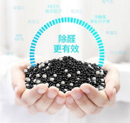 田七：天然空气净化高手，有效降低室内甲醛浓度！
