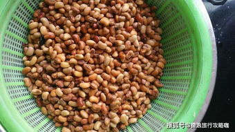 “春季适合种植爬豆吗？有什么具体的种植方法和时间建议