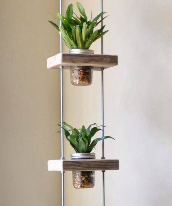 花卉摆放， 得先堪堪天气