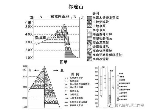 揭秘：畜牧界中的“粉掌不粉”现象及其成因分析