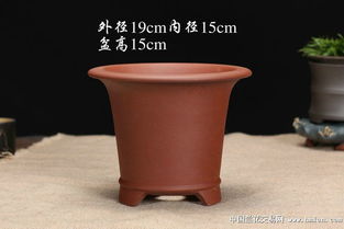 紫砂花盆和那些花儿更配哦