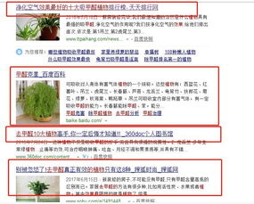 实验， 证明一切