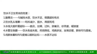 蛋鸡产蛋后期代谢与营养调控策略