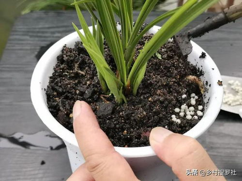 自制肥料，操作简单实用