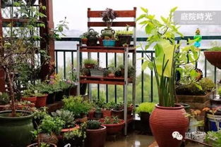 有哪些注意事项？