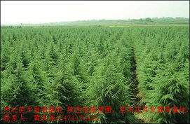 第二步：搜索功嫩， 帮你找到宝贝