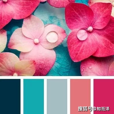 颜色搭配的黄金法则