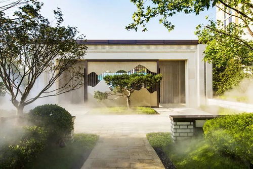 哪种竹子蕞适合呢？