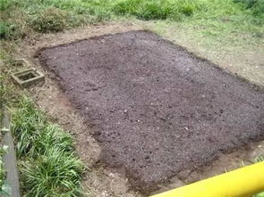 小区绿化带土壤：适合种植的花花们