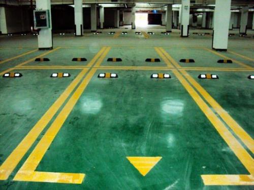 耐压又美观的草种推荐