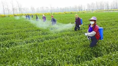 环保性成为选择农药的重要考量