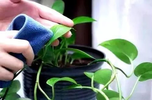 清洗前的小贴士