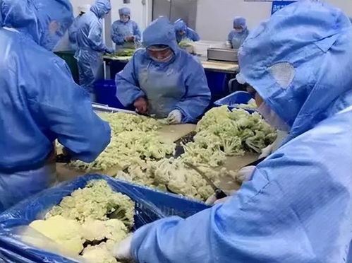 咸菜中亚硝酸盐含量高，长期食用可能致癌