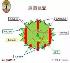 果树病害反复发作， 氟环唑向下传导的关键点解析