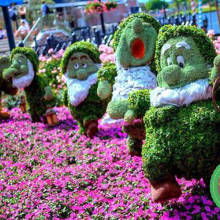 社区与学校园丁：绿化项目的推广者