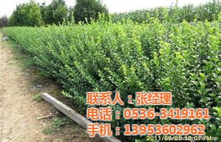 价格稳定， 需求旺盛