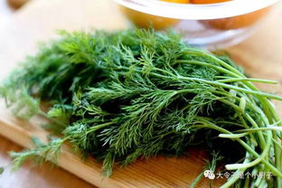 北方种香草总烧钱？这份清单年省800元，真的吗？