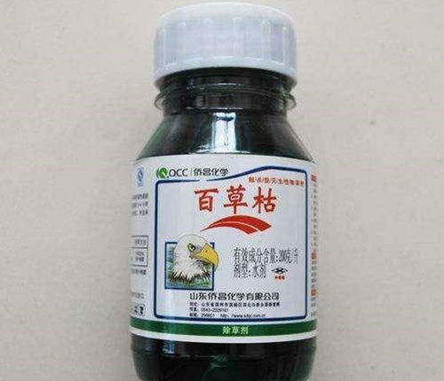 百草枯检测：揭秘这神秘成分的探秘之旅