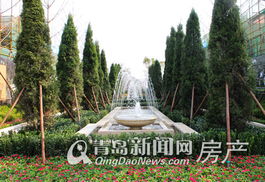 一、 水元素的神奇魔力