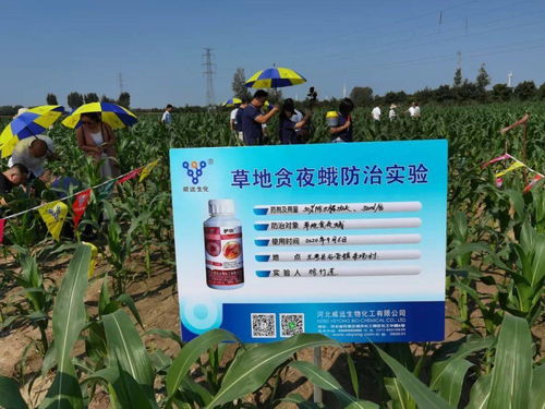 河北威远甲维盐水剂：农户新宠背后的秘密