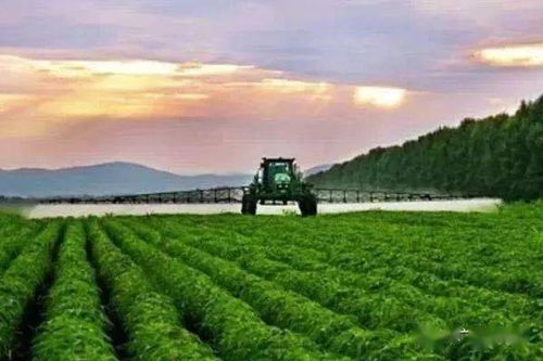 不同作物，兑水有讲究