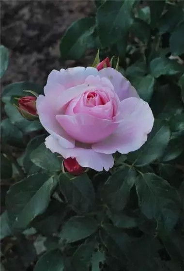 地理环境也要考虑