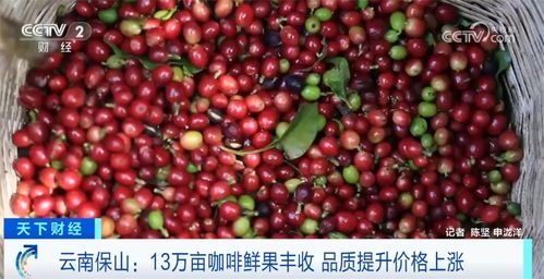 困核：烟火气唤醒果核的“睡眠记忆”