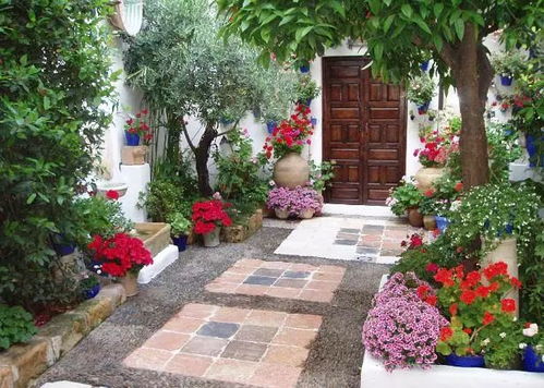 1. 雏菊，小清新