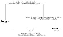 植物群落中的小世界， 大秘密